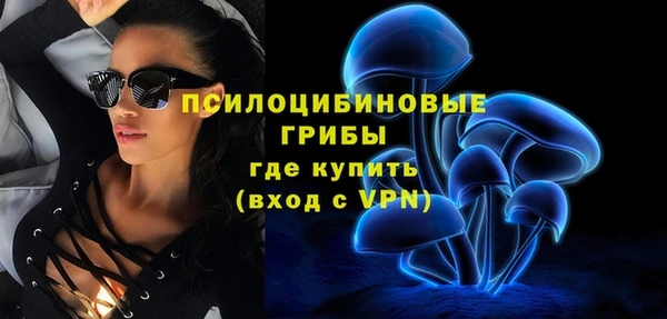 шишки Богородицк