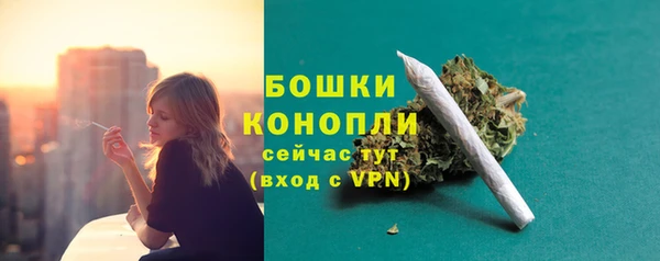 бутират Богданович