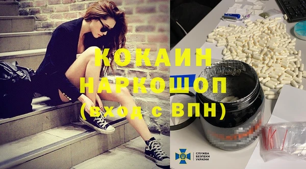шишки Богородицк