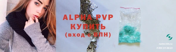 шишки Богородицк
