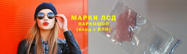 шишки Богородицк