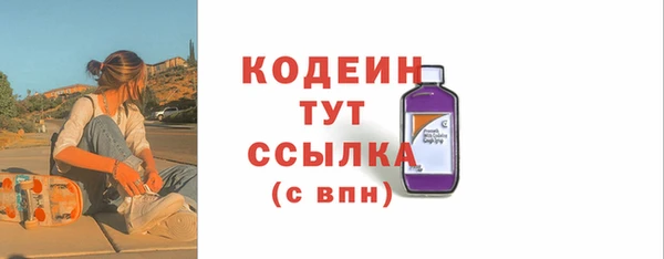 шишки Богородицк