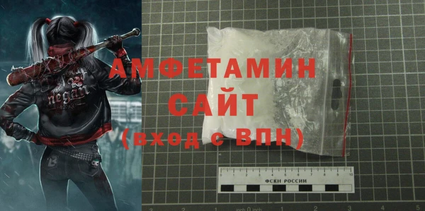 шишки Богородицк