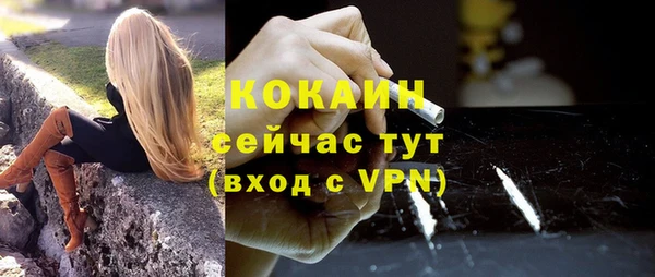 шишки Богородицк
